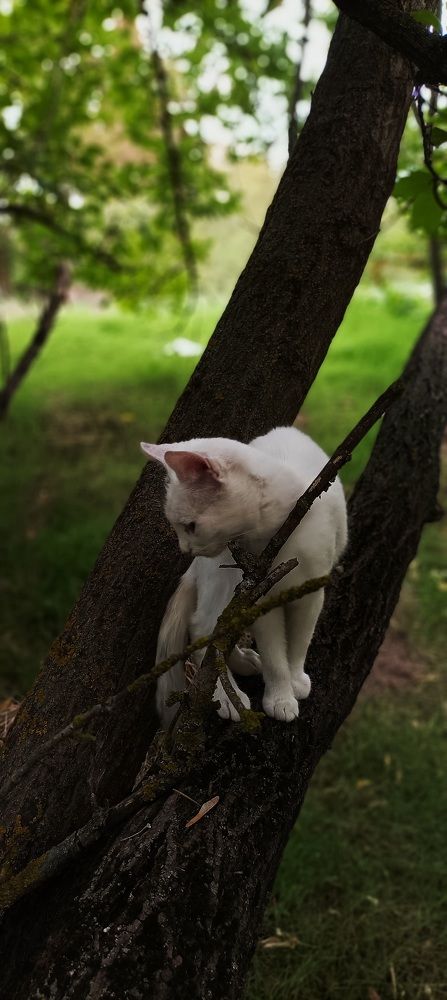 Photo #8843989