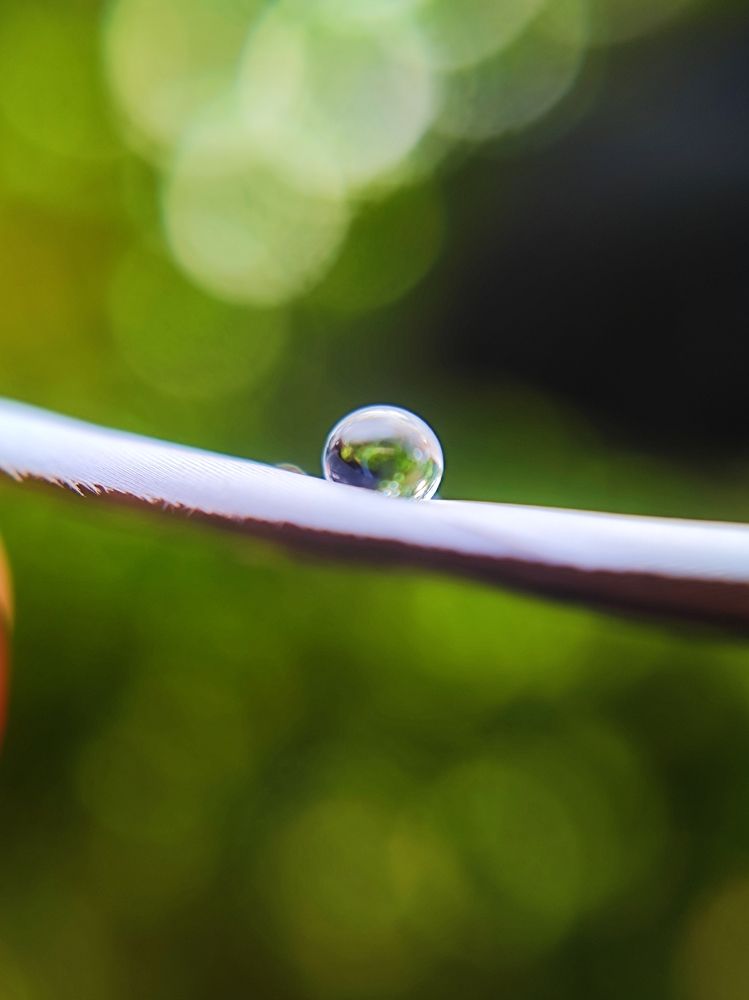 Photograph by Rohit Kumar