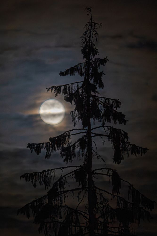 Photograph by Вячеслав Орос