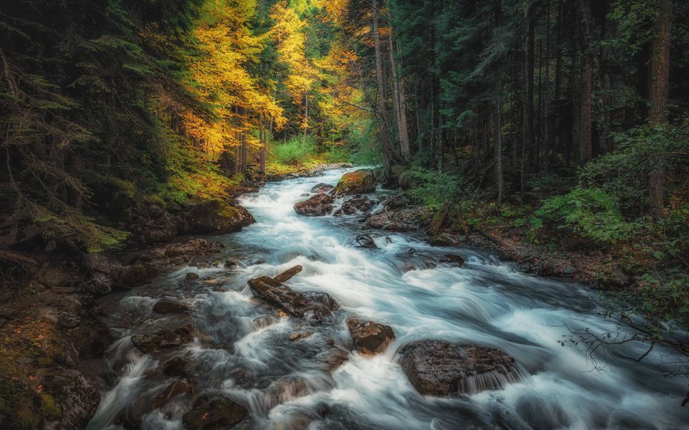 Осенний поворот