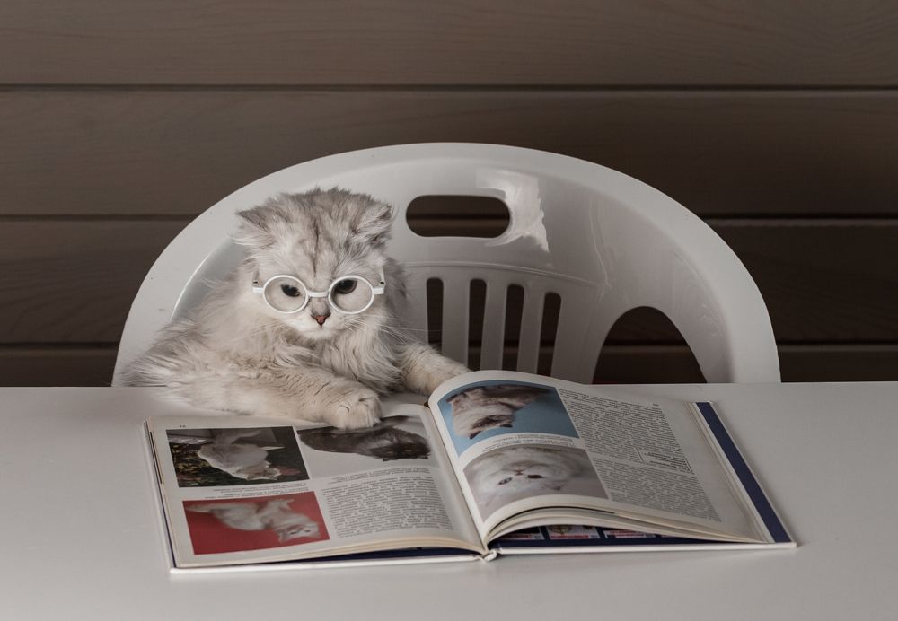 Читая родословную