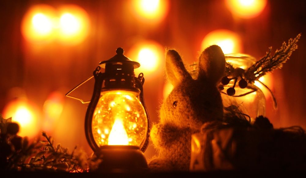 Photograph by Алёна Бондаренко