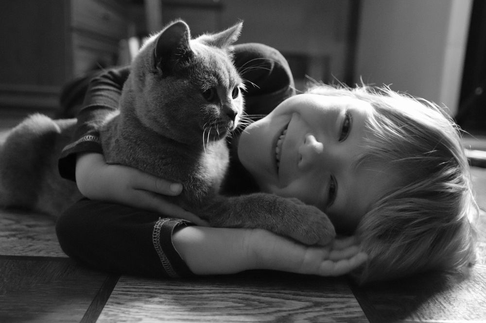 Фотография автора Наталья Боярина