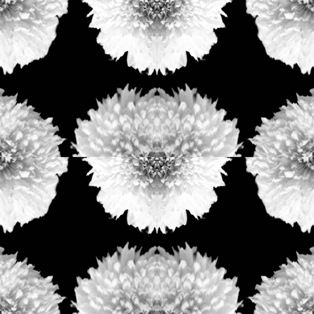 Photograph by Milana Bakina