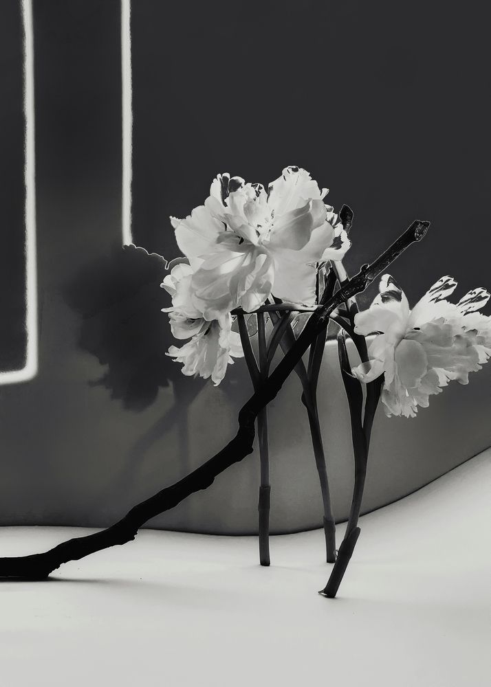 Photograph by Ольга Томашевич