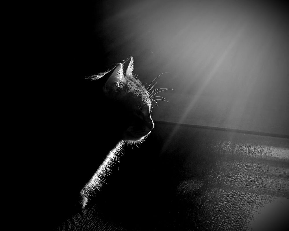 Photograph by Евсеева Валентина