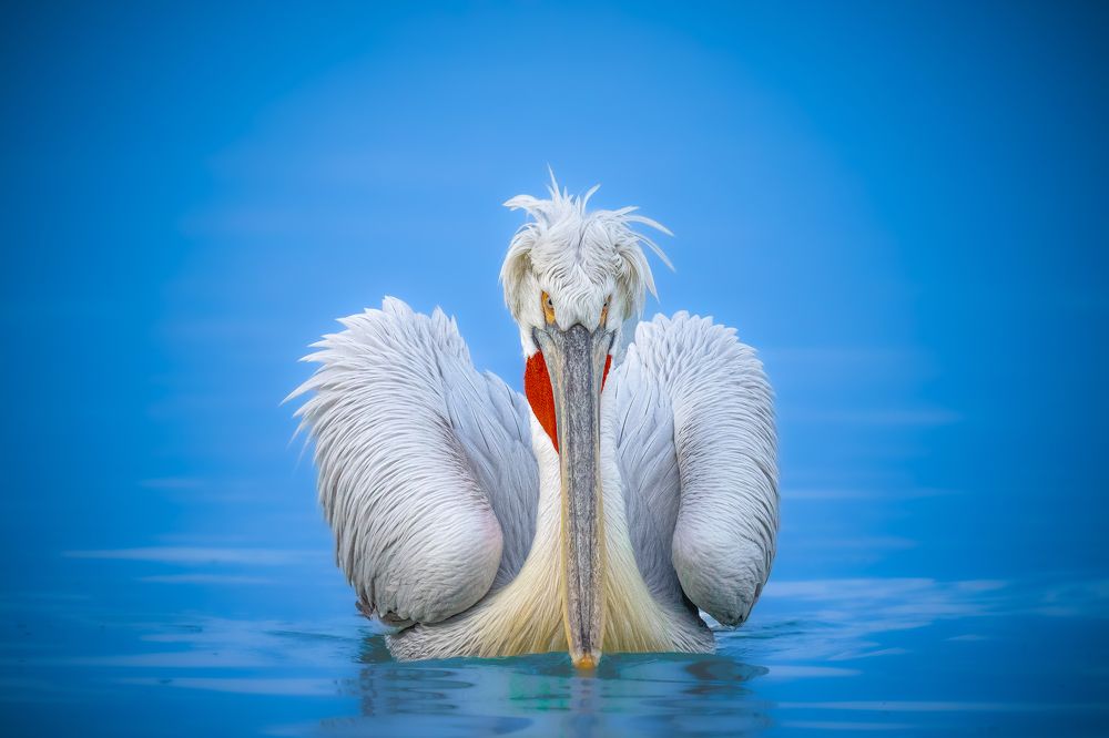 Photograph by Hari Kumar