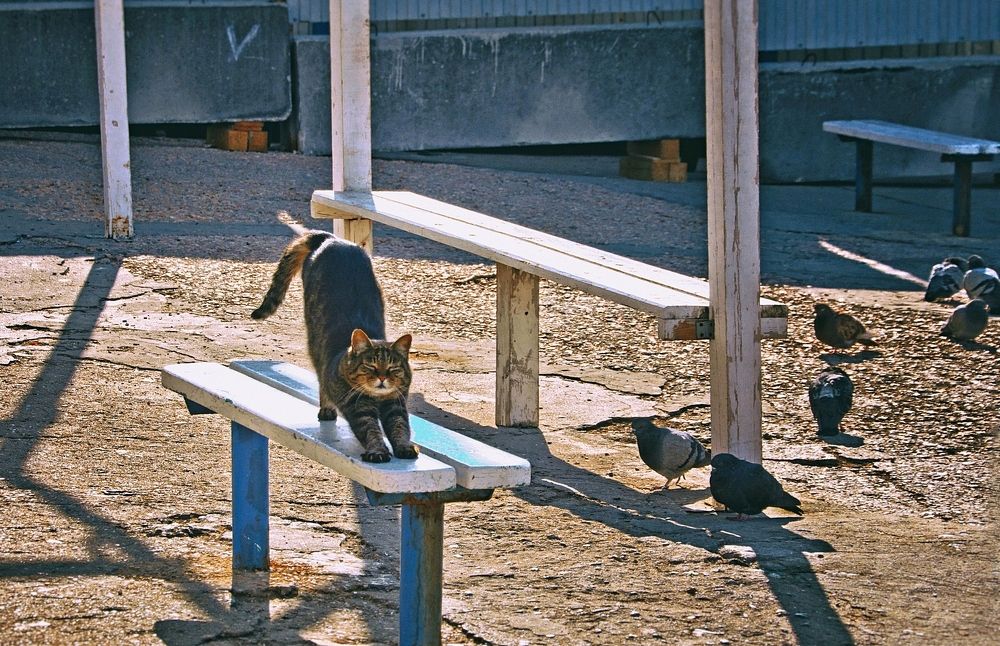 Photograph by Ольга Мальцева