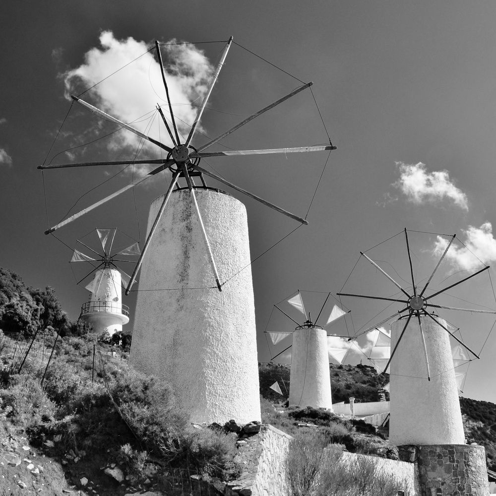 Photograph by Sandra Bruttomesso