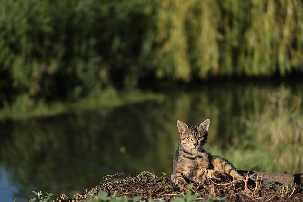 Photograph by Елена Старцева