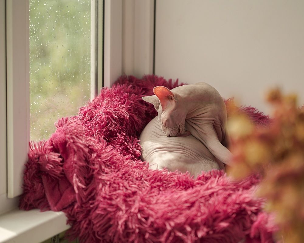 Photograph by Oxana Denina