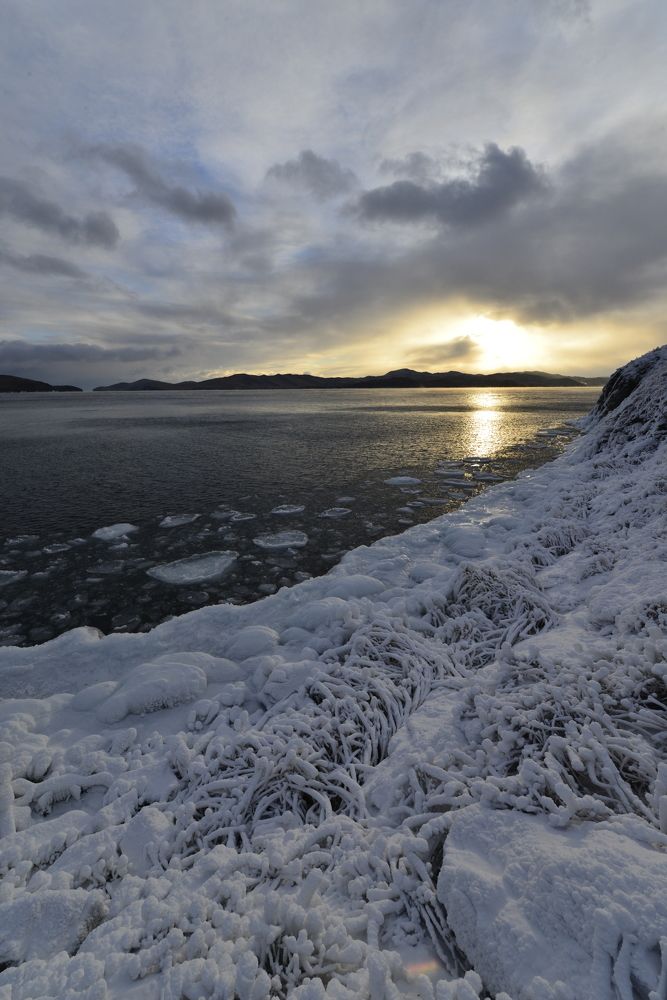 Photograph by Маргарита Фискина