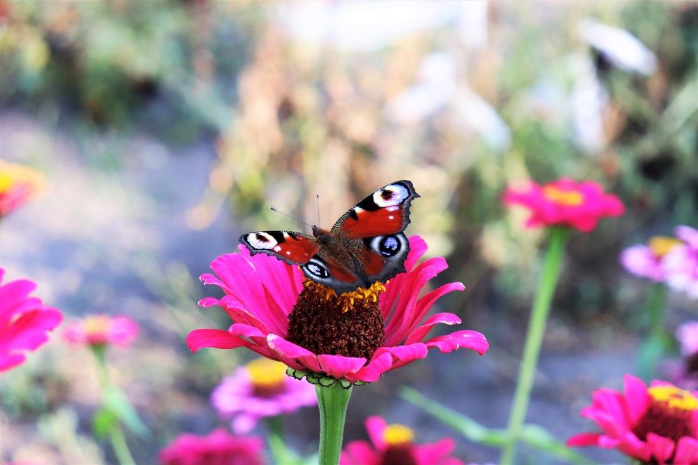 Photograph by Федоренко Элеонора