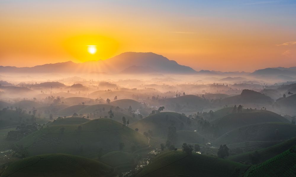 Sunrise over Dragon Cave tea hills