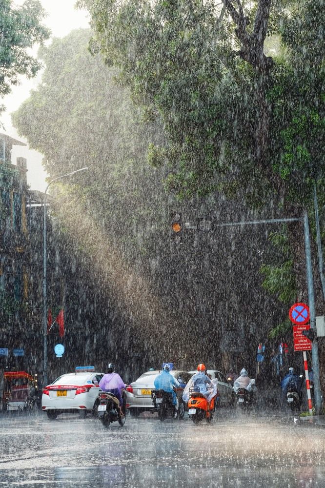 Photograph by Nguyễn Tú