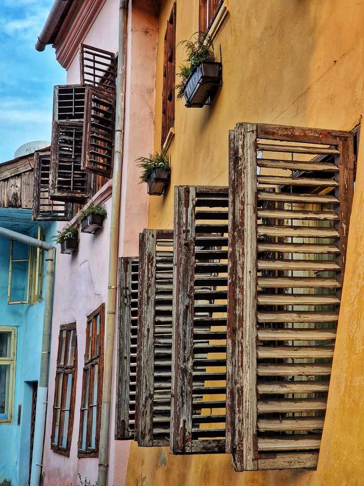 Photograph by Andreea