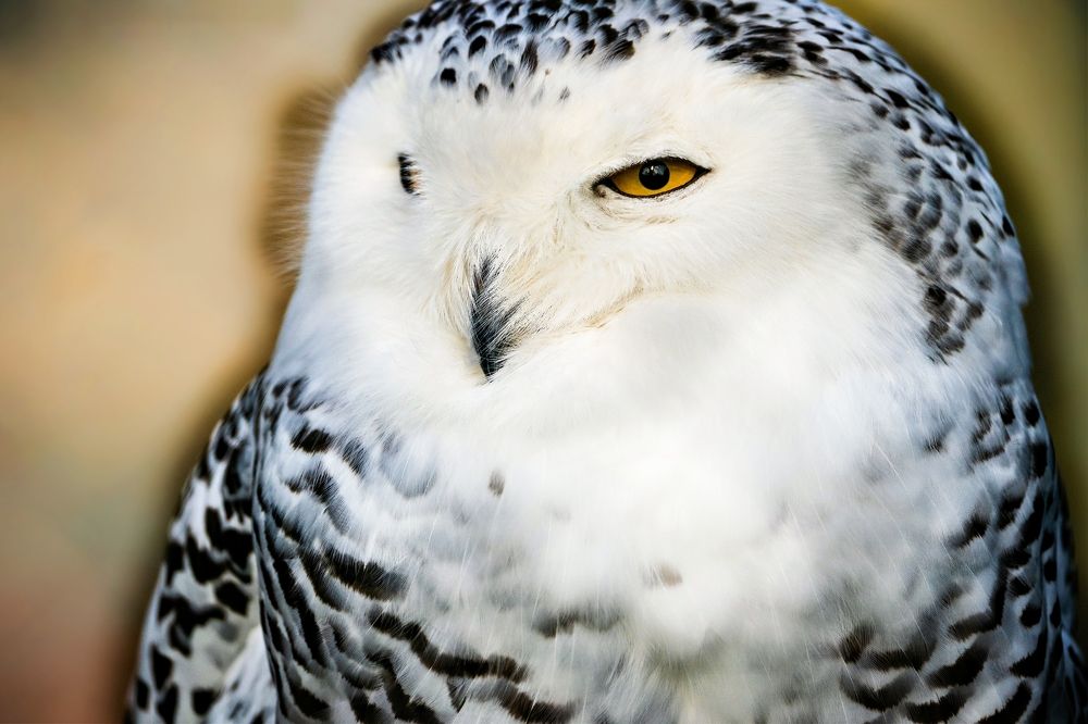 Photograph by Vadim Heinz