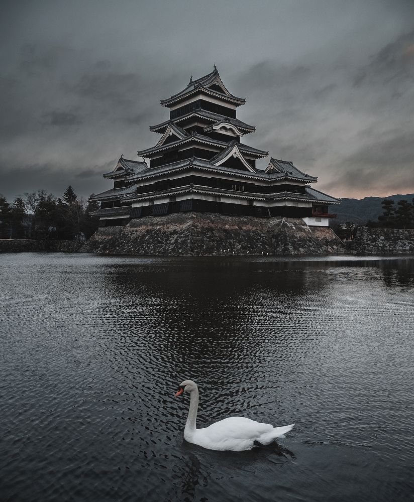 Matsumoto Castle with the lone swan