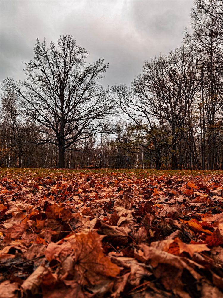 Photograph by Владос Апанасов
