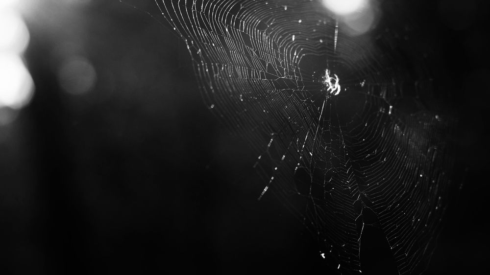 Photograph by Вера Майданова