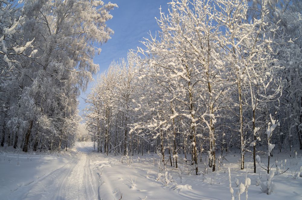 Photograph by Емельянов Алексей