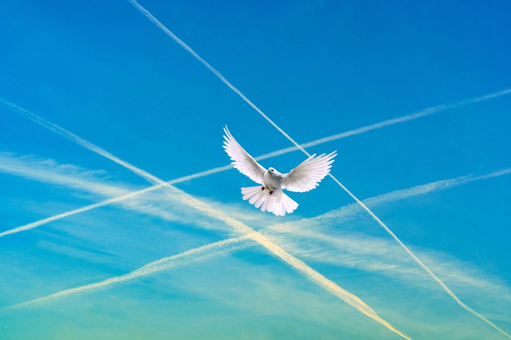 Photograph by Галина Искандарова