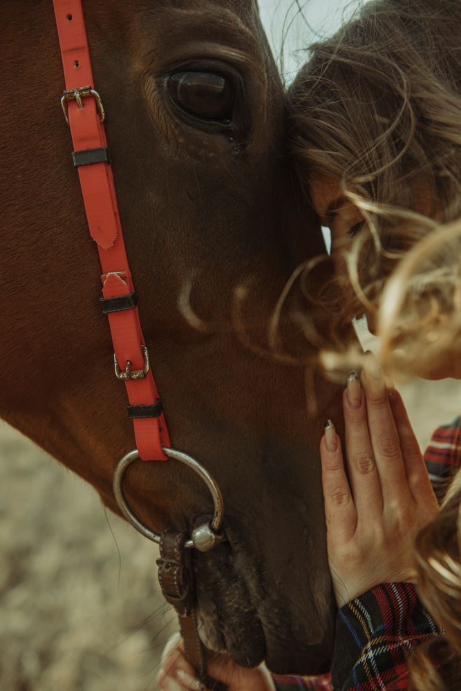 Верю в тебя