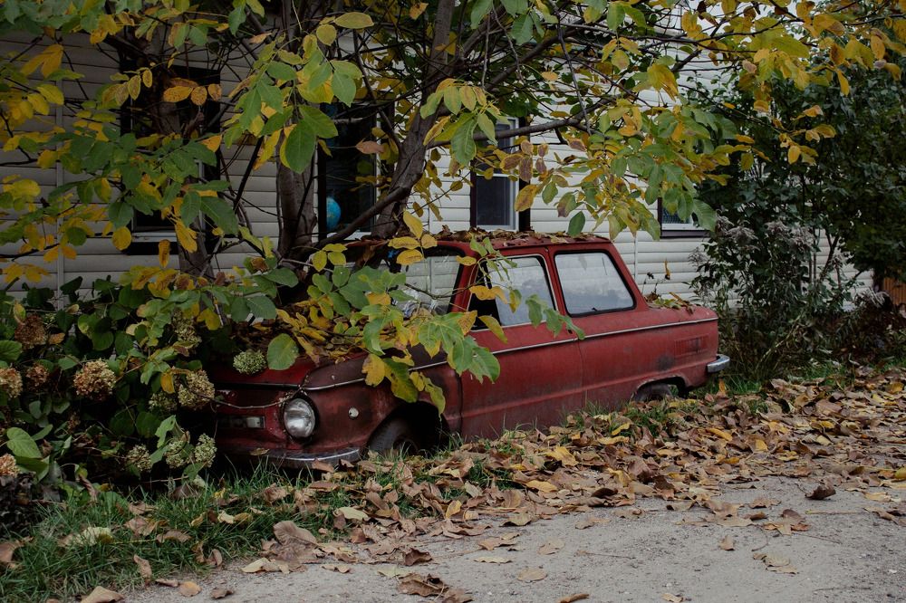 Photograph by Дарья