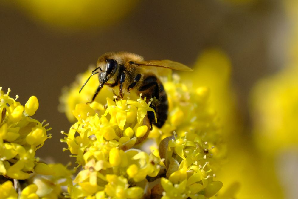 Photograph by Михаил Нестеренко