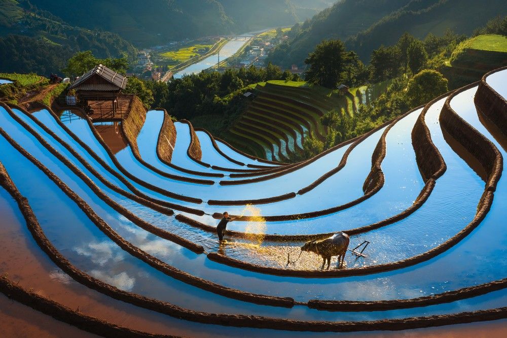 Day end refreshment.