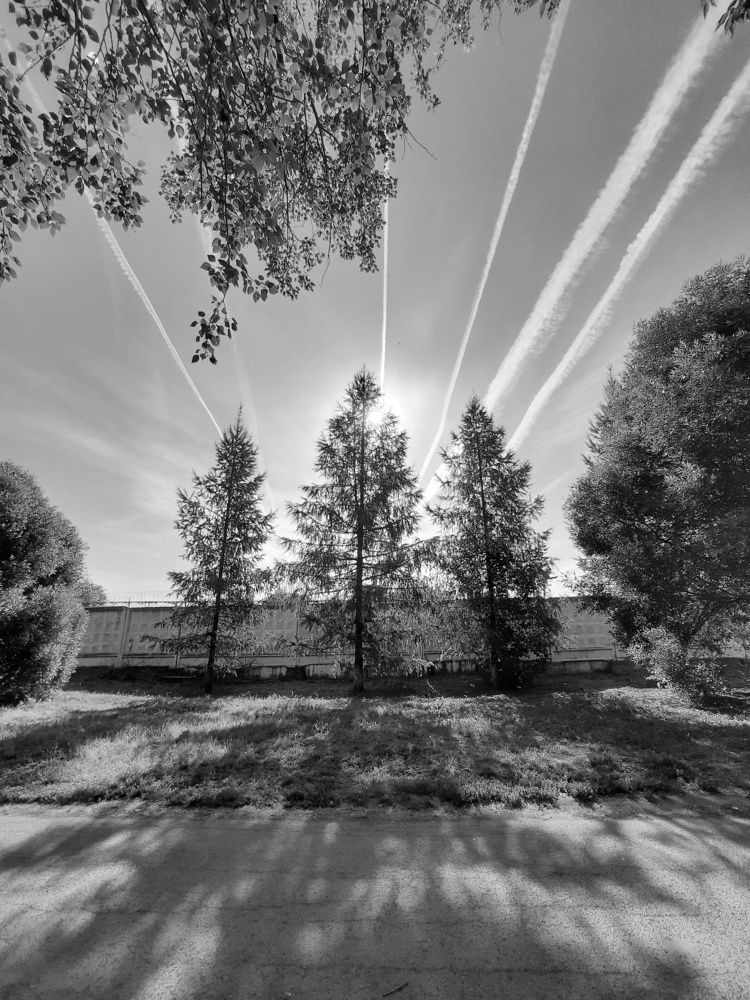 Фотография автора Ольга Кунакова