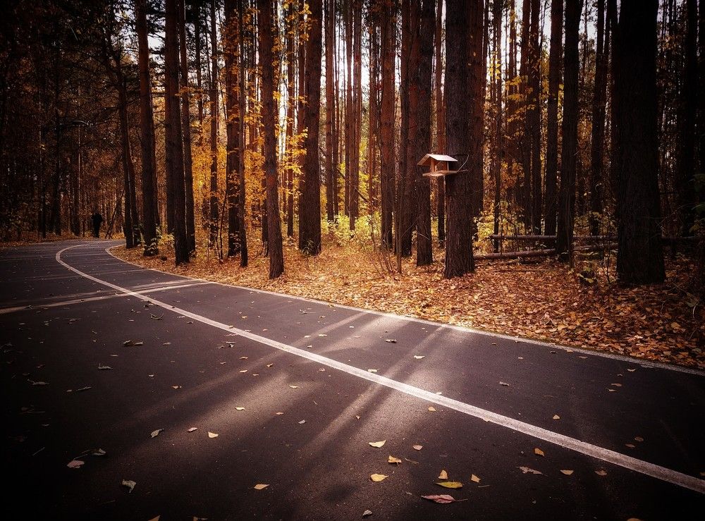 Фотография автора Плешков Игорь