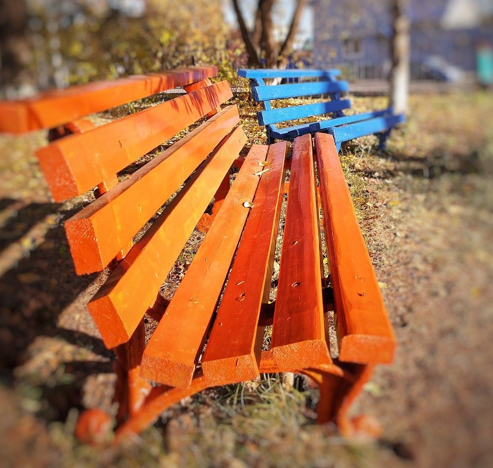 Фотография автора Плешков Игорь