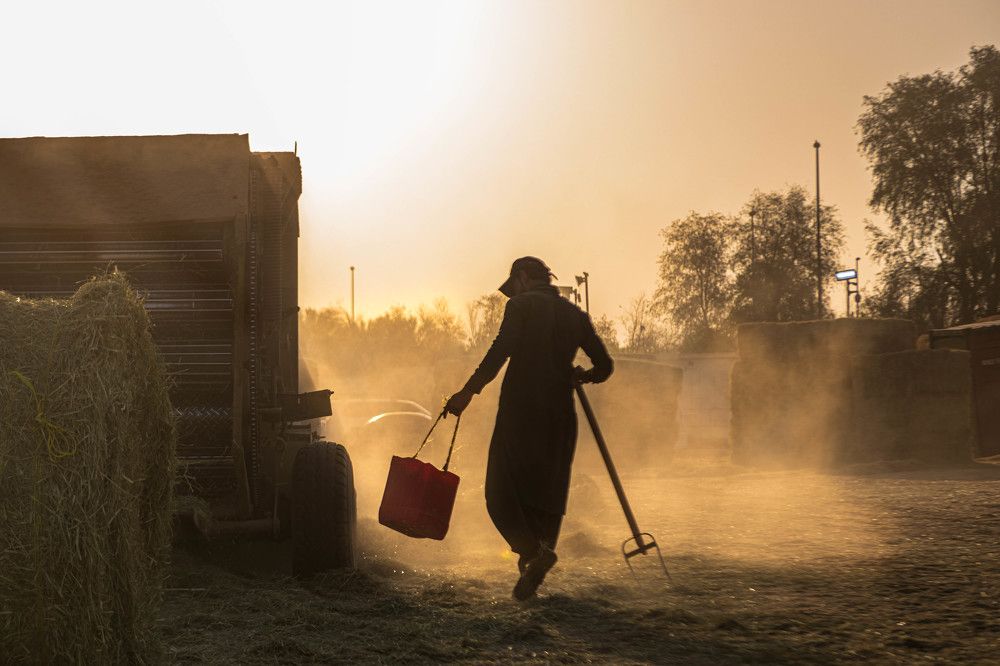 Photograph by Zubair Irshad