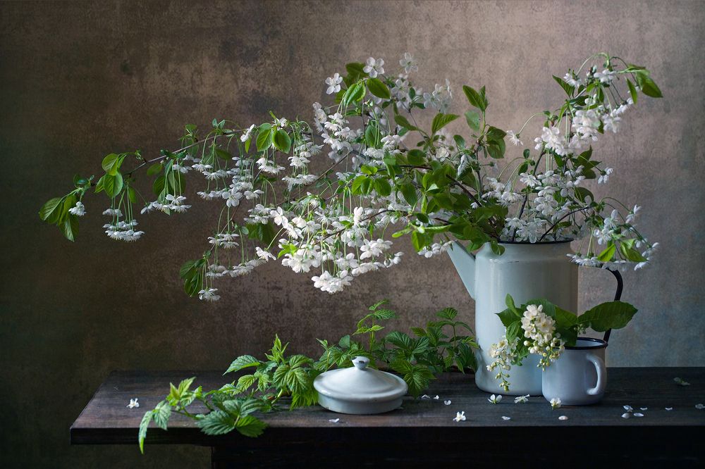 Photograph by Миронова Мила