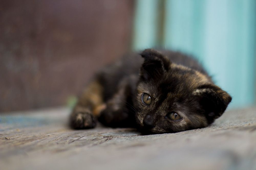 Photograph by Дарья