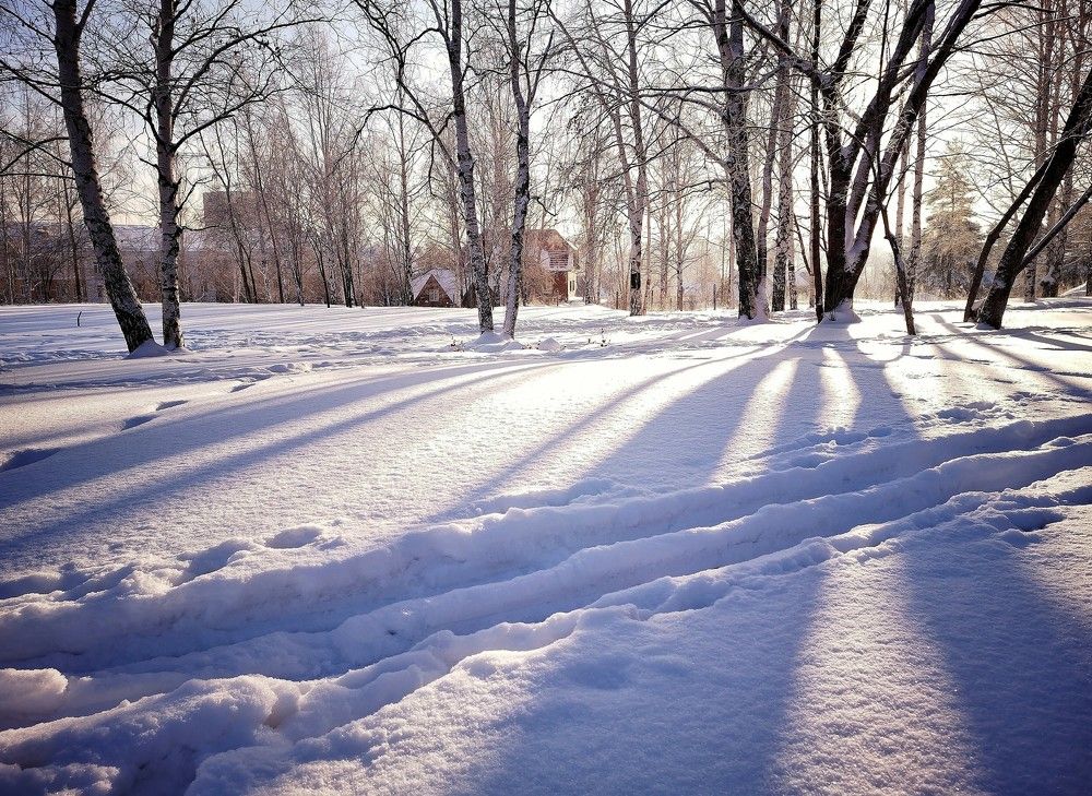Фотография автора Плешков Игорь