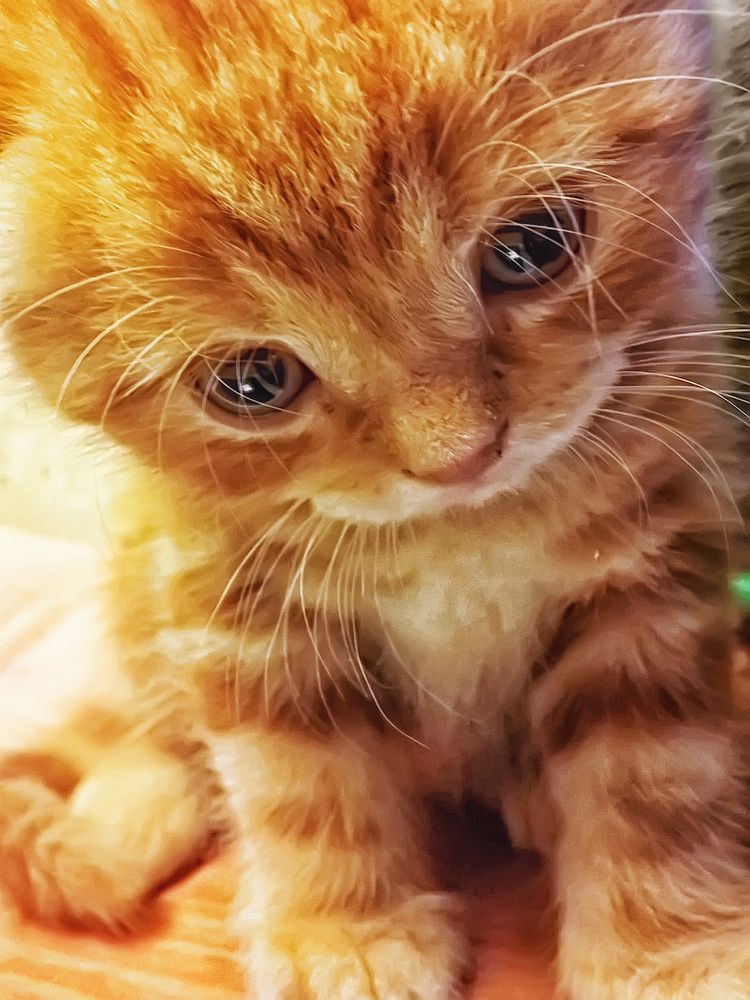 Photograph by Любовь Фурс