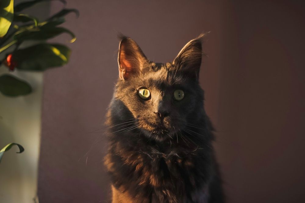 Photograph by Виктория Маркова