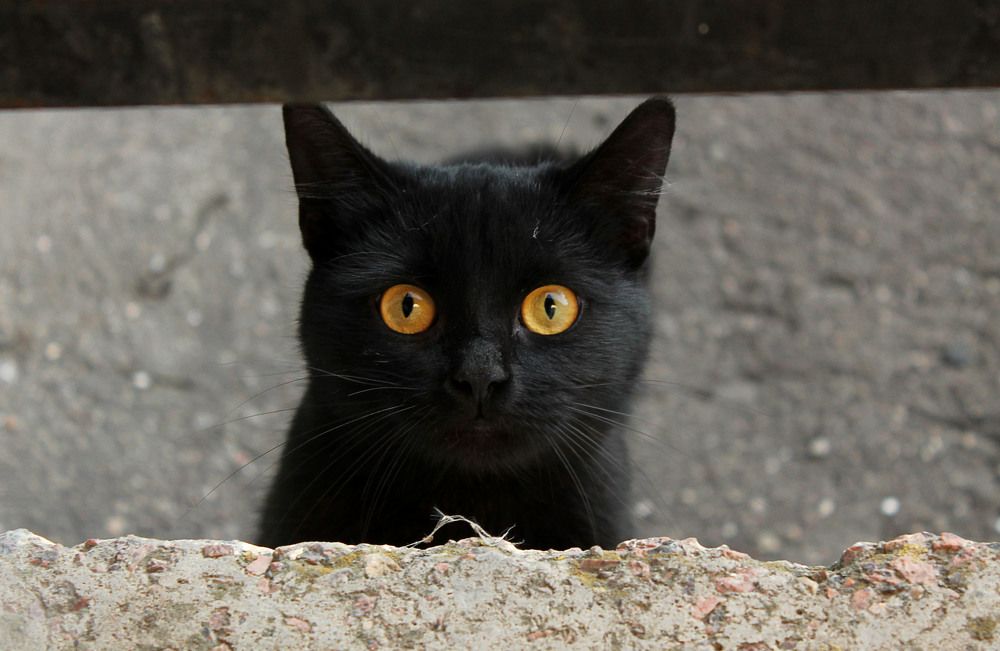 Photograph by Наталья Муравейко