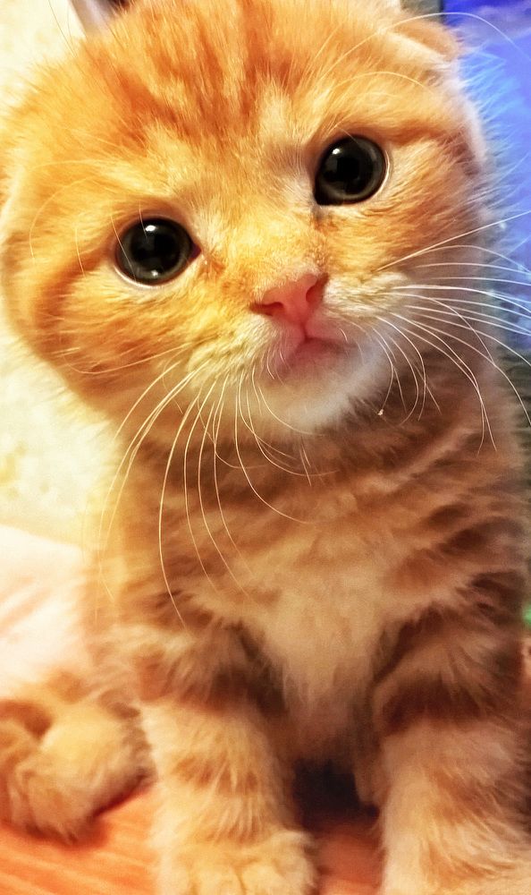 Photograph by Любовь Фурс