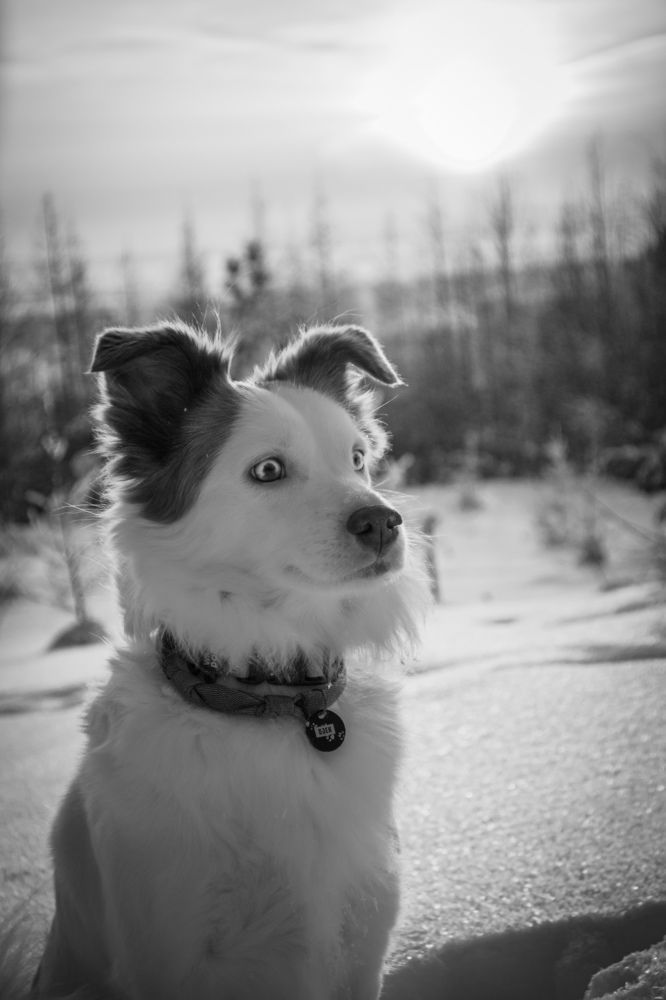 Photograph by Анна Фирсова