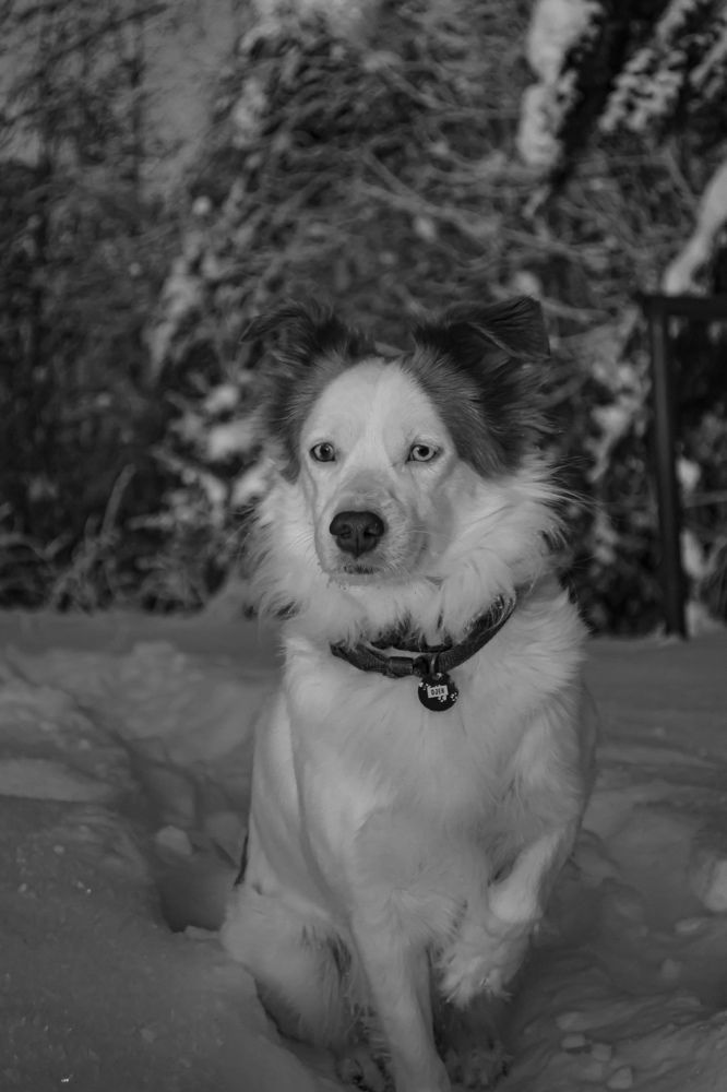 Photograph by Анна Фирсова