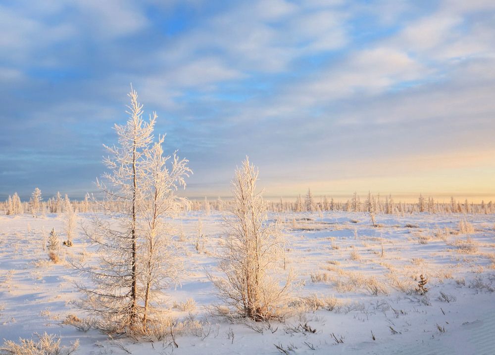 Солнечное утро