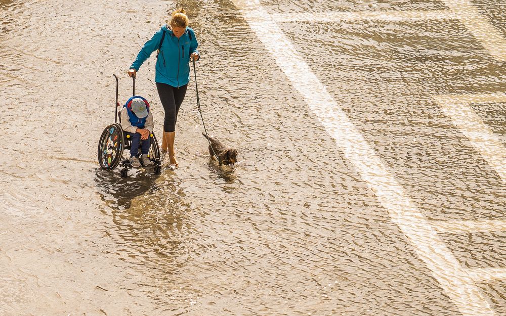 Photograph by Максимова Дария