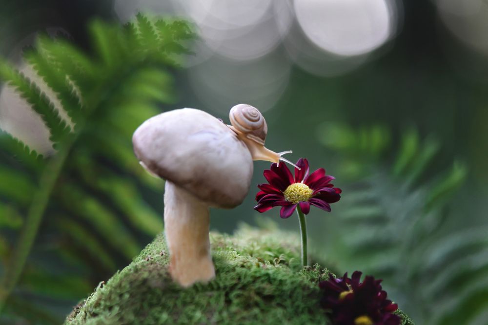 Photograph by Быканова Виктория