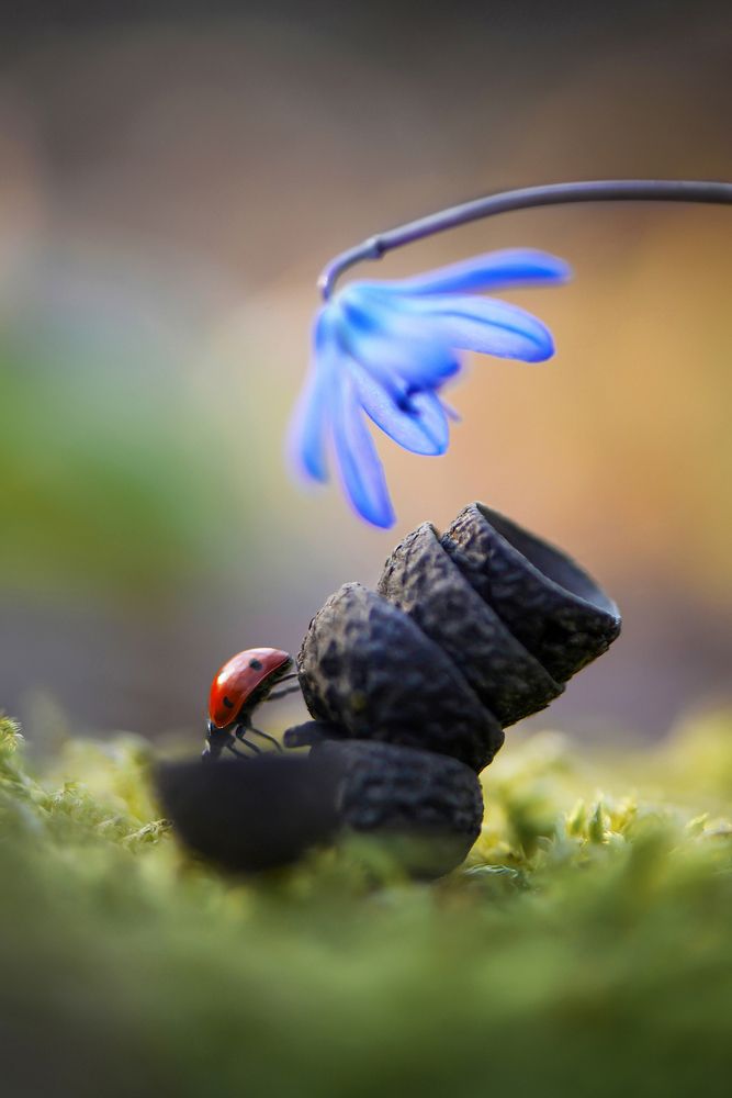 Photograph by Быканова Виктория