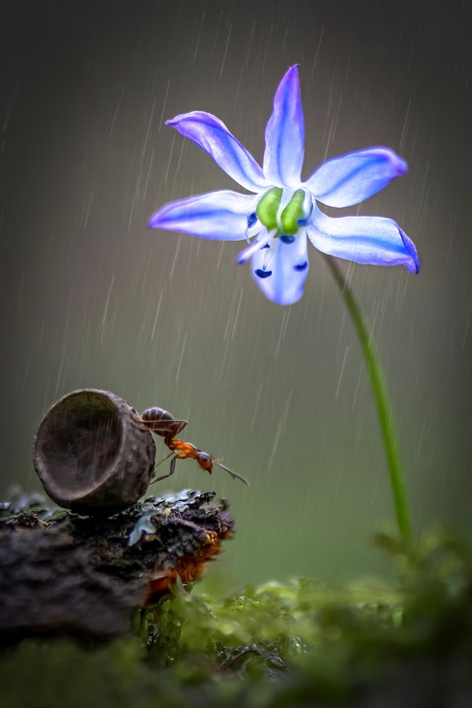 Photograph by Быканова Виктория