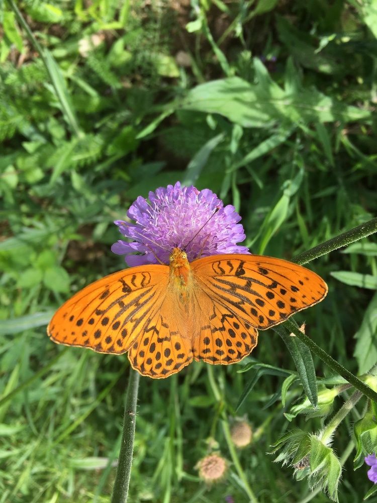 Photograph by Анастасия Лукьянюк