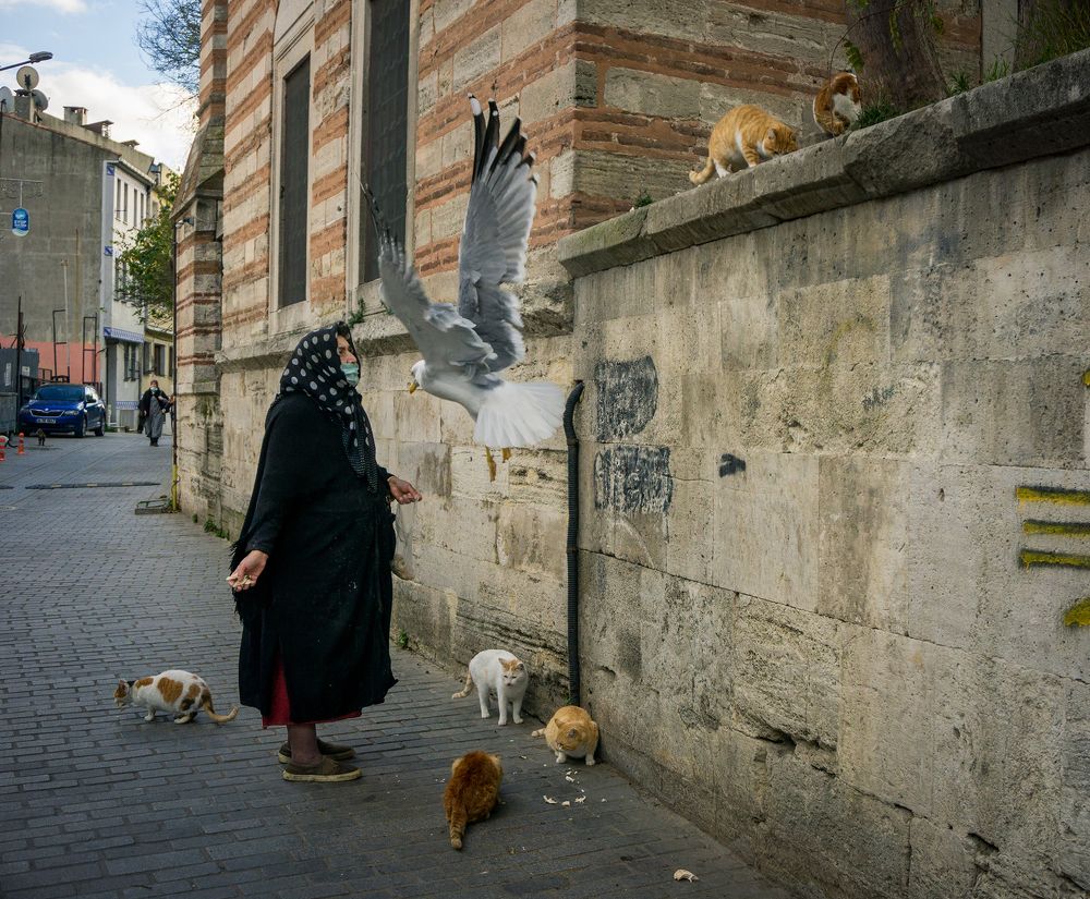 Photograph by Быканова Виктория